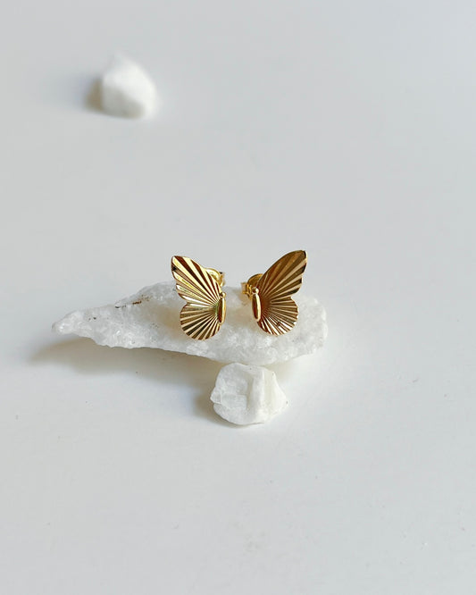 TOPO ALA MARIPOSA